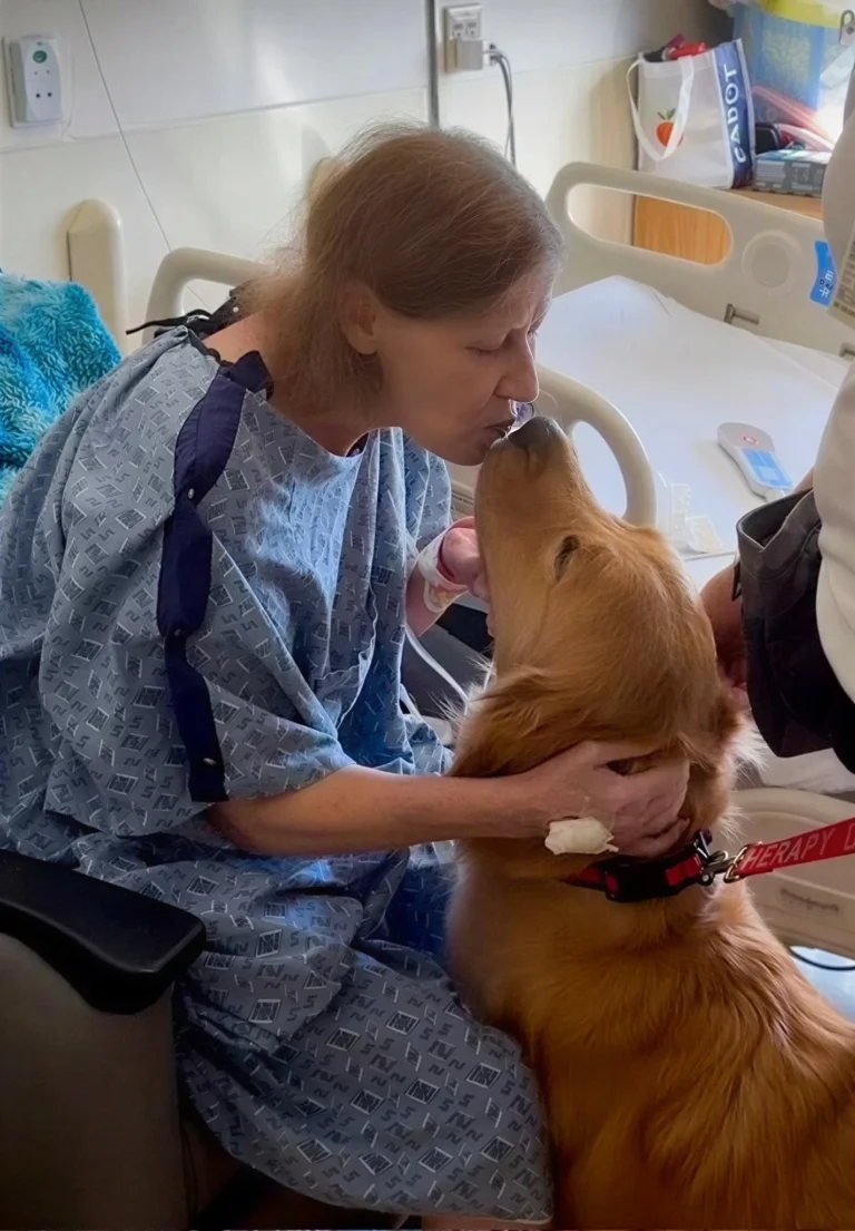 Patient kisses therapy golden retriever in hospital