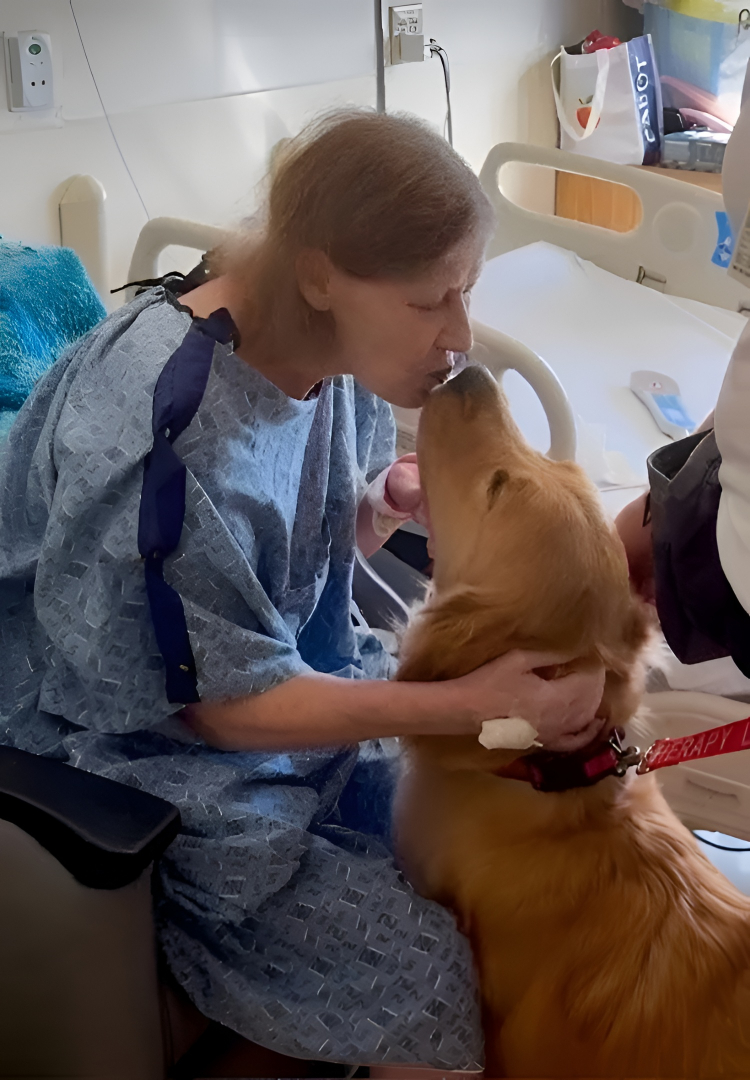Hospital patient kissing golden retriever therapy dog