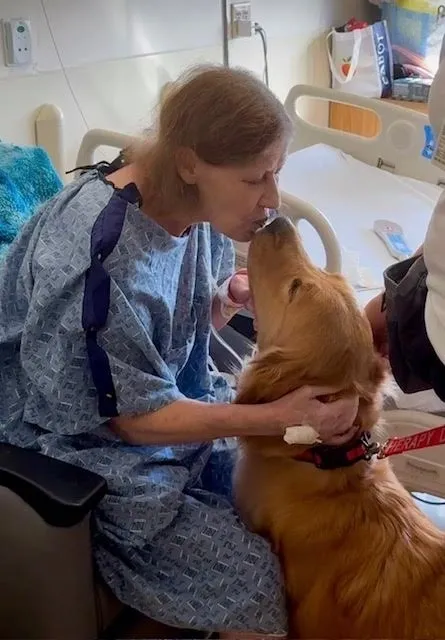 Hospital patient kissing golden retriever therapy dog